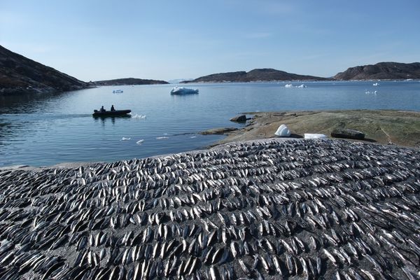 nonfictionplanet-mareTV-10