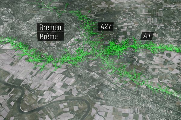 nonfictionplanet-dokumentation-invasion-der-pflanzen-04